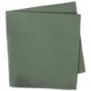 Design Imports Solid Cotton Napkin Set 6 Piece, Sage, 20X20"