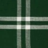 Design Imports Border Stripe Tablecloth, Balsam Green, 60X104"